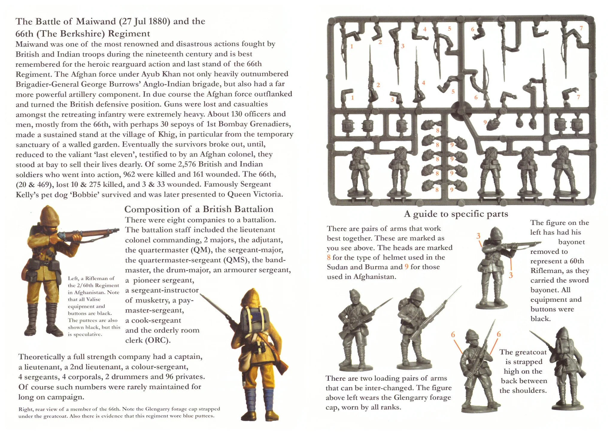 British Infantry (Afghanistan and Sudan) 1877-1885 - Image 3
